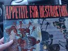 gnr appetite for destruction vinyl