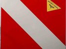 Van Halen Diver Down With Hype Sticker Vintage Sealed Vinyl LP (New)