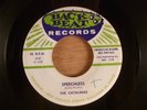 The Catalinas  Speechless/Flying Formation With You  Promo Rare Texas Rockabilly