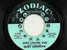 Northern Soul 45 - Ruby Andrews - Just Loving You - Zodiac - mp3