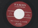DOOWOP  R&B 45  - EDSELS - WHAT BROUGHT US TOGETHER - HEAR - 1960 TAMMY