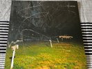 Yo La Tengo This Stupid World transparent blue Vinyl 2xLP (Used-EX/NM)