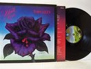 THIN LIZZY black rose LP VG+/VG+, 9102 032, vinyl, album, with inner, uk, 1979