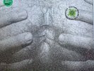 Type O Negative - The Origin of the Feces - Green translucent vinyle LP - Ltd.