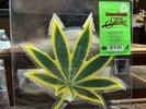 ***CHEECH AND CHONG UP IN SMOKE SHAPED PICTURE DISC RHINO 2019 RSD***