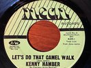 KENNY HAMBER MEGA  RARE  northern soul 45 Let's do the  Camel Walk MEAN RECORDS