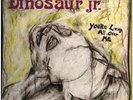 Dinosaur Jr. Youre Living All Over Me SST Records Vinyl LP