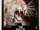 The End Of The Game, by Peter Green UK 1970 Reprise