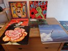 37x ROCK New Wave NDW Folk Rock PROG ROCK LP's LP LOT