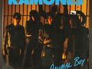 RAMONES: animal boy SIRE 12