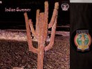 Indian Summer Self Titled (LP, 1971) Gatefold Progressive NE-3 NEON RCA VG/VG+