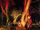 Echo and The Bunnymen - Crocodiles (Vinyl, 1980)