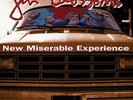 Gin Blossoms New Miserable Experience (Vinyl) 12