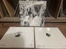 Bjork - Vespertine (2015, White, Vinyl) - TPLP101LTD - Rare - VG/NM