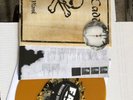 MAD CADDIES ROCK PLANK NO USE FOR SLY TEENAGE NOFX FAT STORE EDITION NEW RECORD