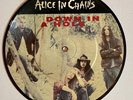 Alice In Chains - Down in a Hole 7” Vinyl Single (1992) Picture Disc grunge