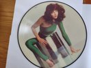 The Kick Inside Limited 1st Edition Picture Disc LP Kate Bush