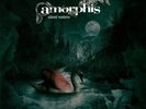 Amorphis Silent Waters LIMITED EDITION NEAR MINT Nuclear Blast 2xVinyl LP