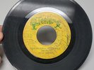 Royal Jesters - I'm So Sorry / Take Me for a Little While RARE DooWoop 7