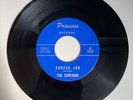 SURFARIS 45 Surfer Joe/WIpe Out PRINCESS 50 surf rock garage short version VG+