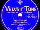 Velvet-Tone #2097-V: Hotel PA. Music-Happy Days Are Here Again/You're The One E-