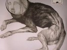 THEE OH SEES - Putrifiers II EP - Vinyl (LP + MP3 download code)