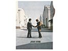 Pink Floyd Wish You Were Here Vinyl Record Near Mint (NM or M-)