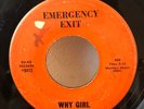 Autographed EMERGENCY EXIT WHY GIRL Garage 45 Ru-Ro 1966 FUZZ rare SELF RELEASE