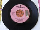 The Sheepherders 45 