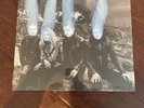 THE DEAD WEATHER DODGE AND BURN TMR VAULT 25 LP NM + 45RPM. OOP