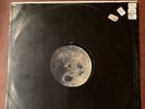 The Waterboys- The Whole Of The Moon 1991 ENYX-642 Vinyl 12'' Vintage