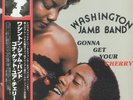 WASHINGTON JAMB BAND - Gonna Get Your Cherry (Japanese Edition) - Vinyl (LP)