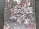 La Dispute - Wildlife Vinyl Record Album 2xLP Color Dark Red & Clear