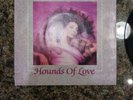Kate Bush: Hounds Of Love b/w Burning Bridge 45 Record