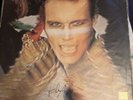Adam Ant-Kings Of The Wild Frontier Signed Lp