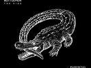 Catfish & the Bottlemen - The Ride [New Vinyl LP] Explicit