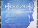 Horizon: Zero Dawn - Official Soundtrack (coffret 4 Vinyles)
