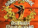 Rock Vinyl Orange Juice (3) Ostrich Churchyard LP, Album 1992 Pop Rock, Indie Ro