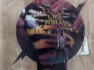RARE SP PICTURE DISC WASP ANIMAL