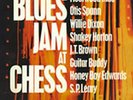 FLEETWOOD MAC - BLUES JAM AT CHESS - 2 LP PURE PLEASURE VINYL