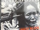 HARDCORE THRASH -- NAILBOMB  -- POINT BLANK -- 1994 ISSUE LP