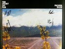 The story so far proper dose vinyl signed by band splatter purple