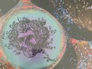 GRATEFUL DEAD Live At Winterland 31/12/1971 (UK IMPORT) Vinyl NEW