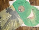 Coheed and Cambria Vinyl Record Second Stage Turbine Blade Green 2LP Import 2020