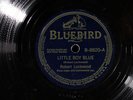 Robert Lockwood BLUEBIRD 8820 E- 