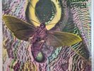 THE MOTHMEN - PAY ATTENTION  (original)
