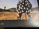 PINK FLOYD ,DELICATE SOUND OF THUNDER.1988 AUSTRALIAN VINYL RECORD