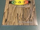 o.a.r. The Wanderer - Vinyl 2 LP- Limited Edition OOP - Picture Disc - RARE