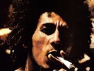 Bob Marley - Catch a Fire [New Vinyl LP]