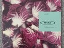 Orbital . radiccio 1..Halcyon 12''Vinyl